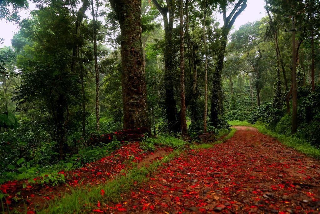 Old Kent Estates & Spa, Coorg Suntikoppa Exterior photo